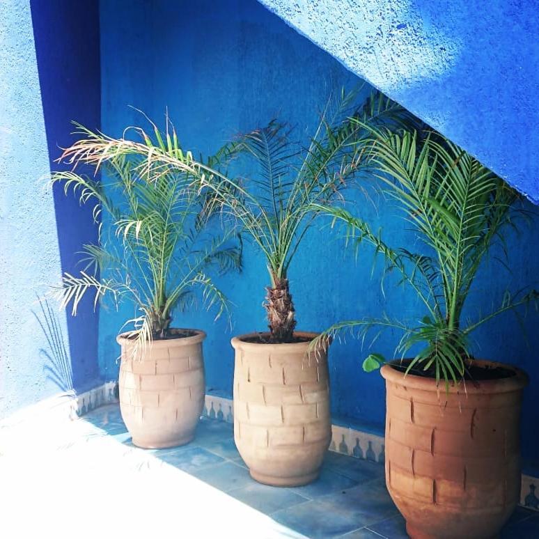 Dar Massaneh Villa Essaouira Exterior foto
